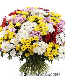 ����� 101 ���������� �������