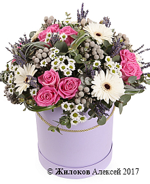 ����� �������� ������� � ������� �������