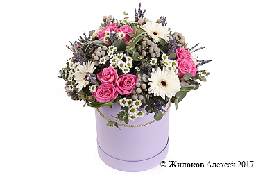 ����� �������� ������� � ������� �������