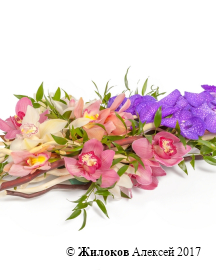 ���������� ������ ����