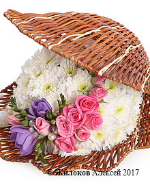 ���������� � ������������ ��������� ��������