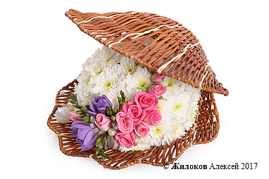 ���������� � ������������ ��������� ��������