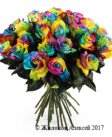 ����� 35 �������� ���