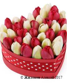 ���������� �������� ����������� � ������� ������� ������ (����), ������-�����