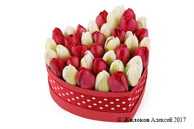 ���������� �������� ����������� � ������� ������� ������ (����), ������-�����