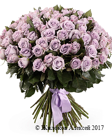 ����� ����� ������ (101 ����)