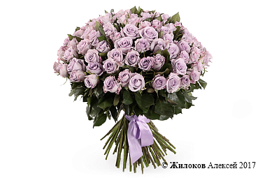 ����� ����� ������ (101 ����)