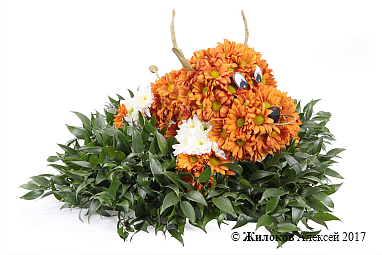 ���������� �����