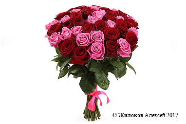 ����� ������� � ��������, 51 ����