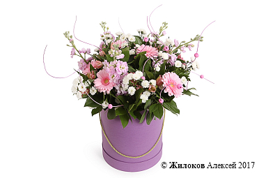 ����� ������ ����� � ������� �������