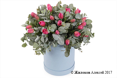 ����� �������� � ������� �������