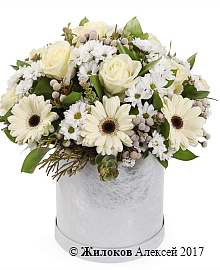 ����� ���� � ������� �������