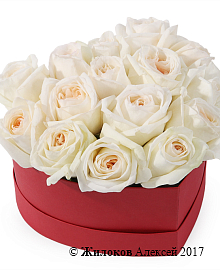 ����� ������ ����� � ������� ������� ������ (����)