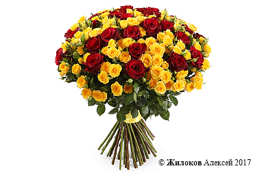 ����� ������� �����, 60 ��� ����