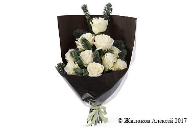 ����� ������ ����