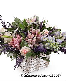 ����� ������ ���� � �������