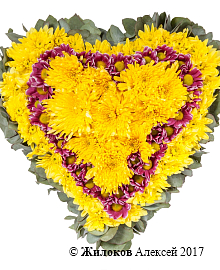 ����� ������� ������