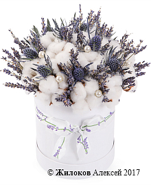 ����� � �������� ������ ������� � ������� �������