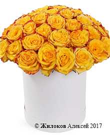 ����� 51 ���� ��� ����� � ����� ������� �������