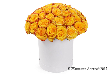 ����� 51 ���� ��� ����� � ����� ������� �������