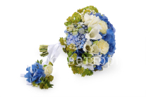 ����� ������� ������