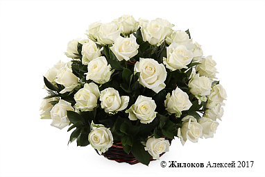 ����� 51 ���� ������� � �������