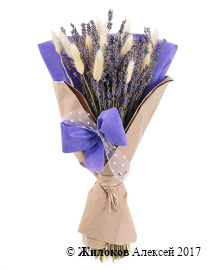 ����� � �������� ��������� ��������