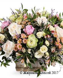 ���������� ��� ������ ���� � �����