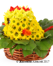 ���������� �� ��������� ��������