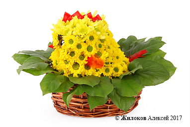 ���������� �� ��������� ��������