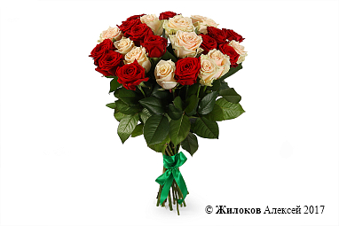 ����� 25 ��� ����