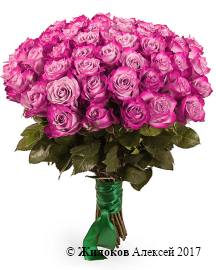 ����� 51 ���� ��� �����