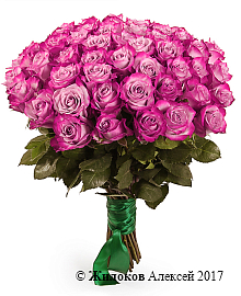 ����� 51 ���� ��� �����