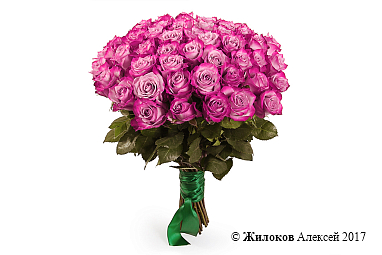 ����� 51 ���� ��� �����