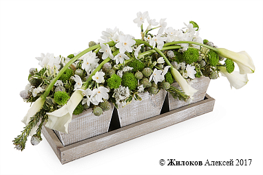 ���������� ������ �������� � �����