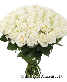 ����� 71 ���� ������� 60/70 ��