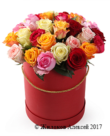 ����� ����������� ������� (35 ���) � ������� ������� �������