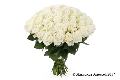 ����� 71 ���� ������� 60/70 ��