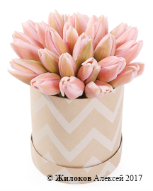 ����� 25 ����������� ������� � ������� �������, ���������