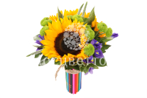 ����� � ������������ ������������ �������