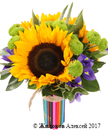 ����� � ������������ ������������ �������