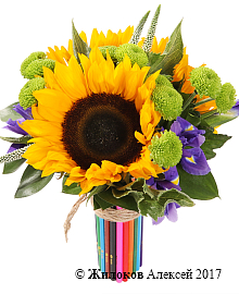 ����� � ������������ ������������ �������