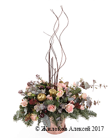 ����� ������� ��������