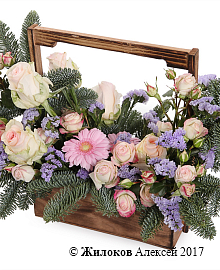 ���������� � �������� ���� � �����