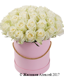 ����� 35 ��� ������� � ������� �������