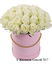 ����� 35 ��� ������� � ������� �������