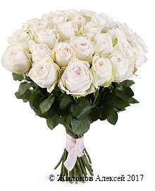 ����� 35 ��� ���� �'����