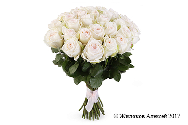 ����� 35 ��� ���� �'����