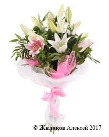 ����� � ������� ��������� �������