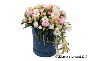 ����� ������������ ���������� � ������� �������